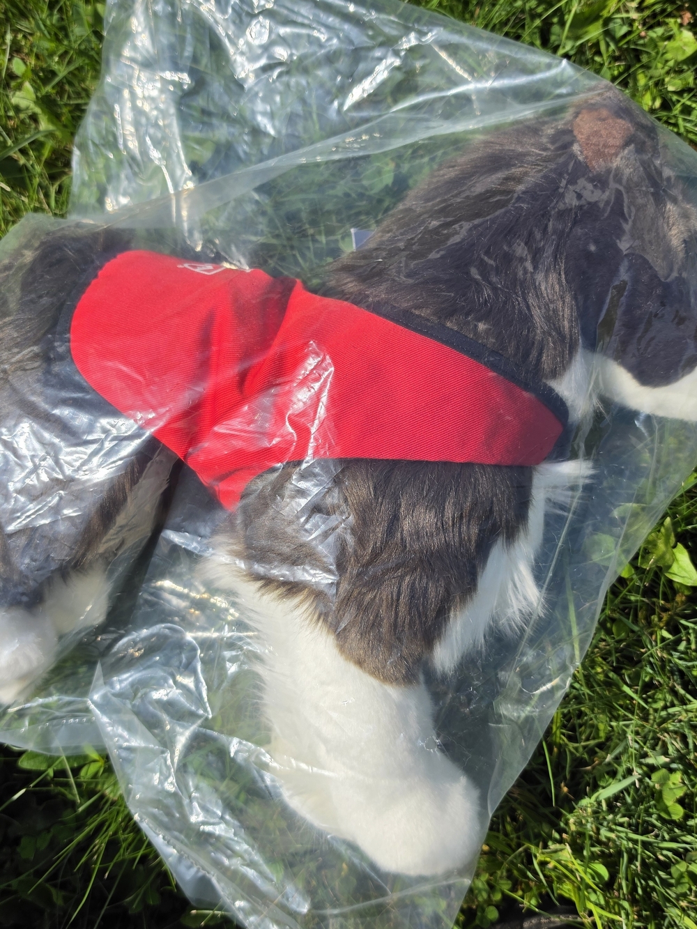 Gravy Winter Park Patrol Dog Team Stuffed Animal By Douglas